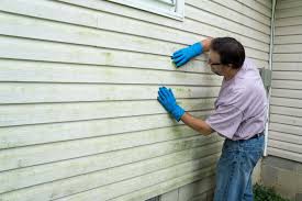 Best Vinyl Siding Installation  in Knoxvle, IL